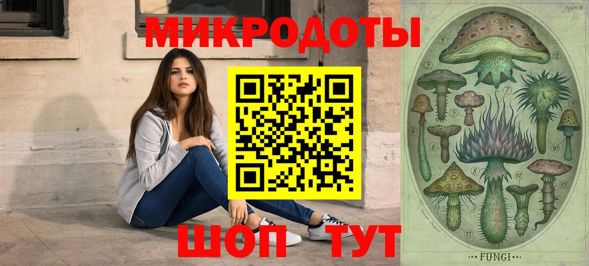 что такое   Вход с VPN  Партизанск  Псилоцибиновые грибы мухоморы  Галлюциногенные грибы Cubensis 